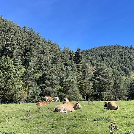 Apartamento La Molina Альп Экстерьер фото
