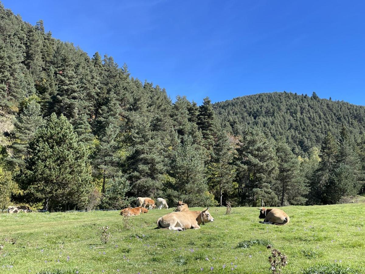 Apartamento La Molina Альп Экстерьер фото